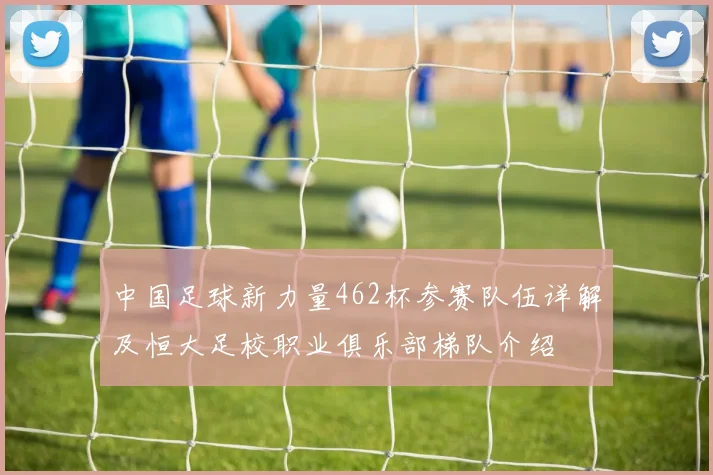中国足球新力量462杯参赛队伍详解及恒大足校职业俱乐部梯队介绍